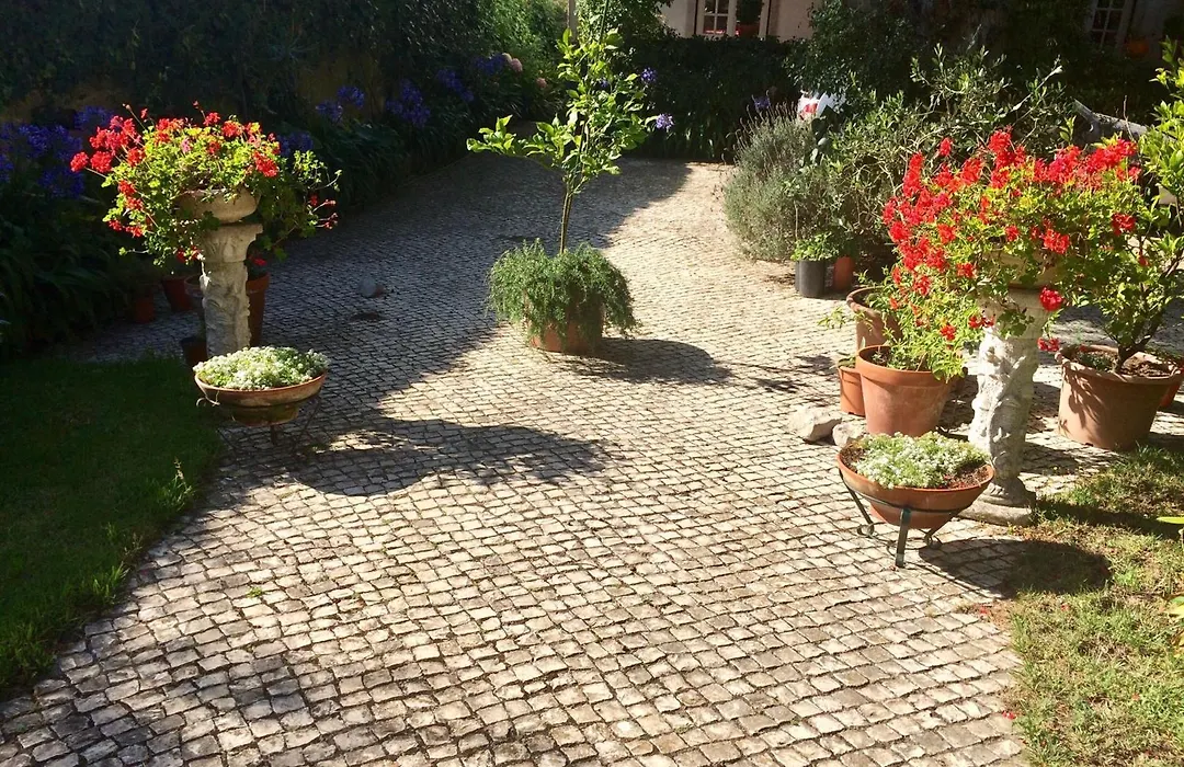 Villa Branca Jacinta-1