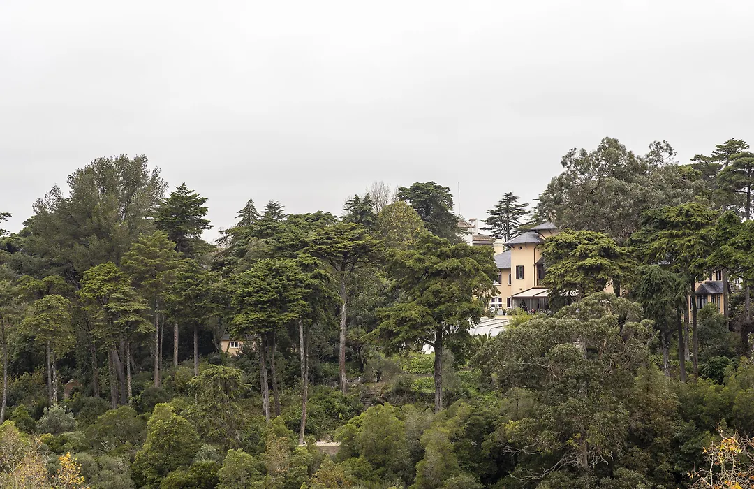 Sintra Marmòris Camélia-1