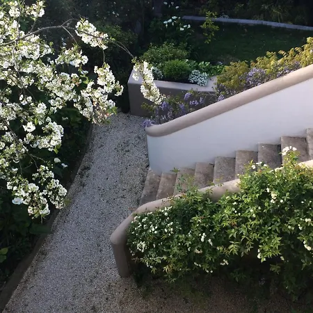 Villa Branca Jacinta-3